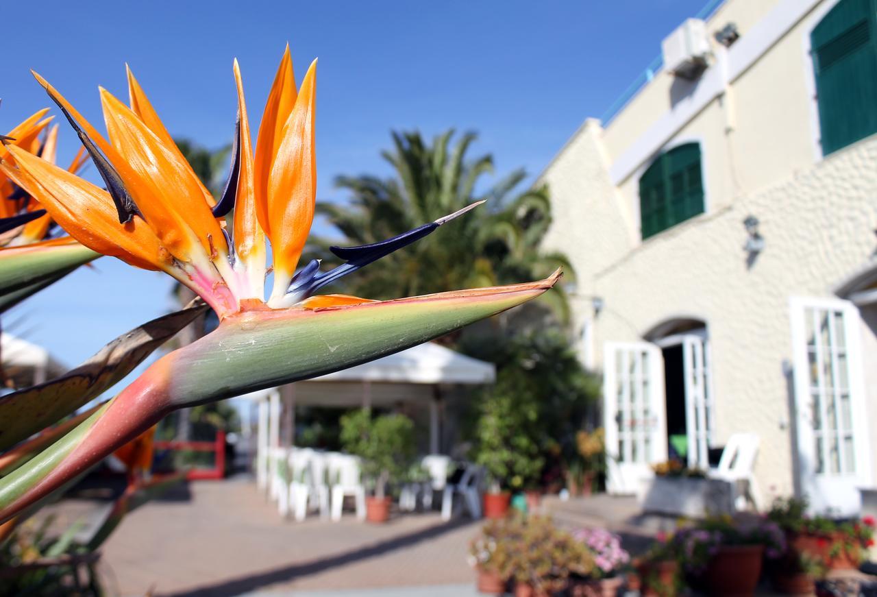 סנטו סטפנו אל מארה Albergo Ristorante Lucciola מראה חיצוני תמונה